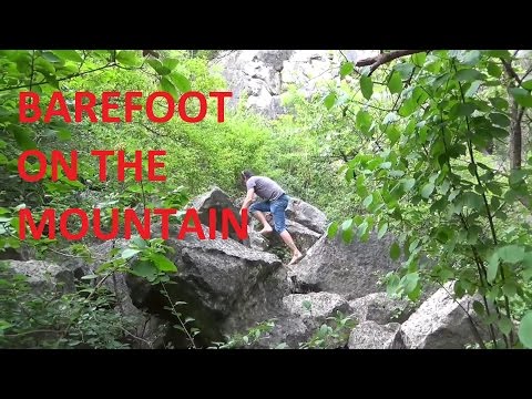 Barefoot Bushcraft Tour Together with Carlos