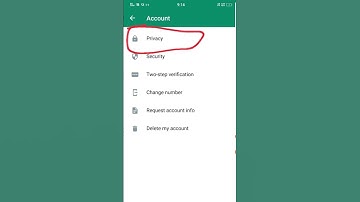 Hide double tick On WhatsApp