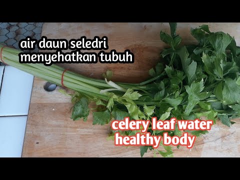 Video: Makanan Kaya Vitamin: Salad Seledri
