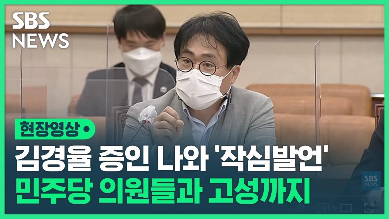 김경율 회계사, 증인으로 나와 작심발언…여야 고성 오가며 마찰 (현장영상) / SBS