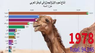 احصائيات انتاج لحم الجمل في الدول العربية