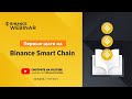 Руководство по Binance Smart Chain