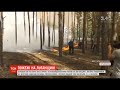 Масштабні пожежі у лісах Луганської області: полум’я знищило десятки будинків, є жертви