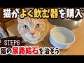 【猫の尿路血石を治そう#6】☆猫がよく飲む器を購入