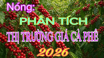 Dự Báo Giá Cà Phê Việt Nam 2026: Tăng Đỉnh Mới Hay Lao Dốc? Phân Tích Toàn Diện Từ Chuyên Gia