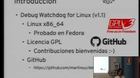 Debug Watchdog for Linux (v1.0)