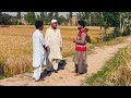 Limitless innovation story  pakistan red crescent