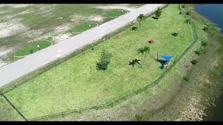 Miramar Regional Park - Paw Central Dog Park