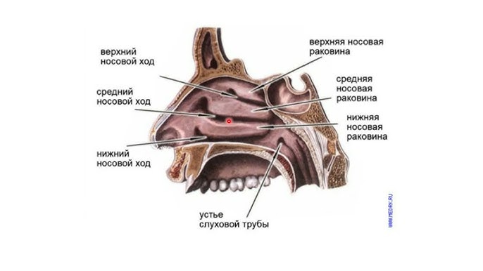 Орыс порно сыныптасы