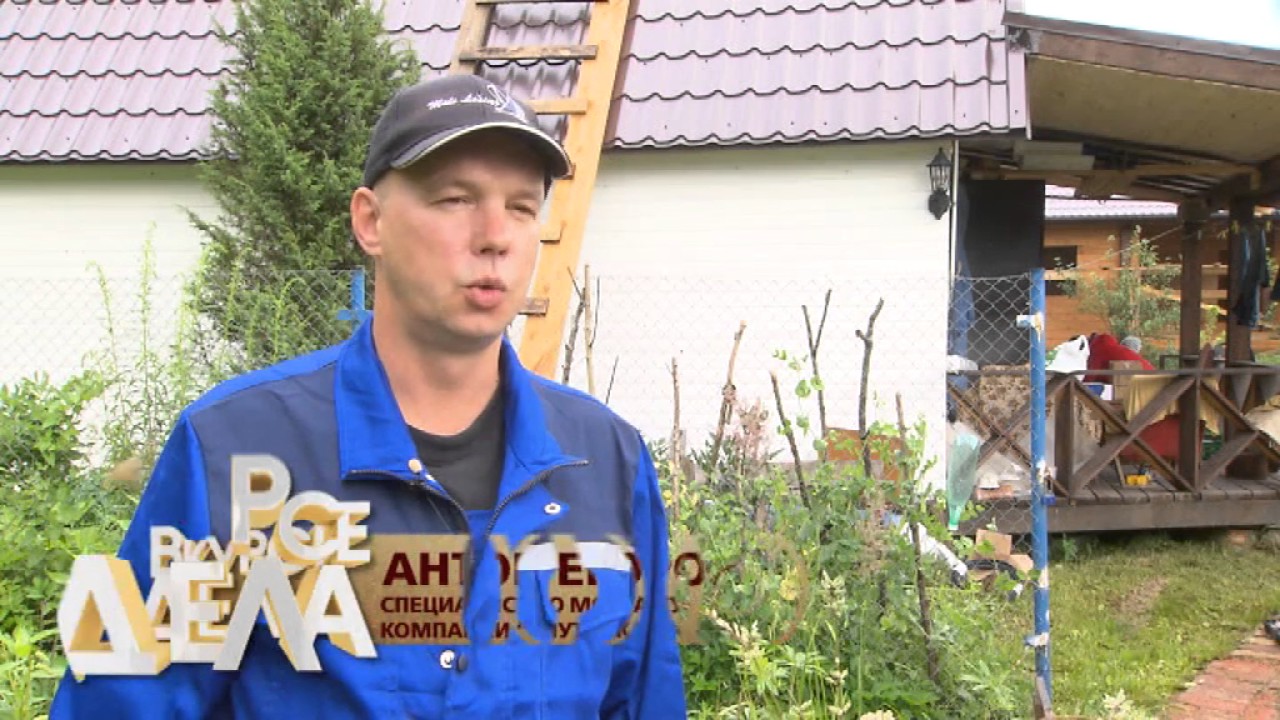 Архив телеканала загородный. Загородный канал. Номер телеканала загородная жизнь жизнь в джунглях. Школа ландшафтного мастерства. Канал загородный ведущие.