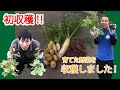 初！あさひファーム収穫！ の動画、YouTube動画。
