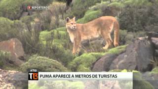 Reporteros Después del fuego   Tele 13