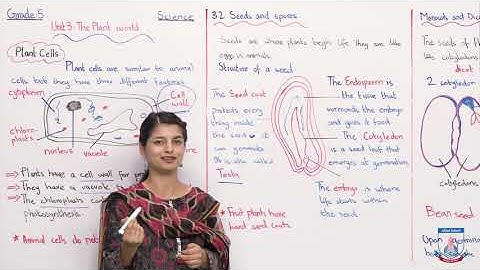Class 5 - Science - Unit 03 - Lecture 4 The plant world Topic 3.2 - Allied Schools