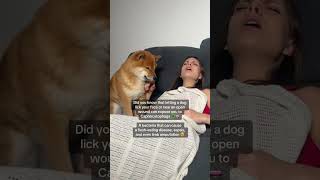 Did You Know Why You Should Not Let Your Dog Lick Your Face?