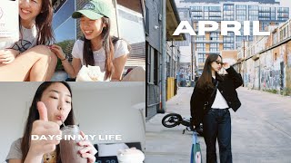 april was fun | productive at home, dc pop-up shops, memories with friends 💐🛍️🍻🍪
