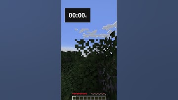 Fastest Minecraft Block Speedrun? | #minecraft #speedrun #shorts