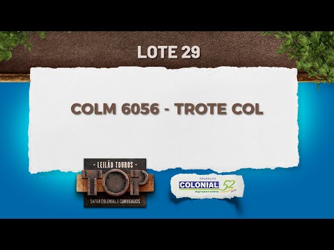 LOTE 29 COLM 6056