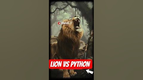 Wildlife Showdown: Lion vs Python Rescue Mission