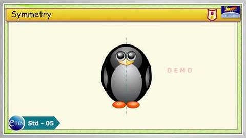 Std 05 Math Chapter 06 Shapes, Patterns and Nets