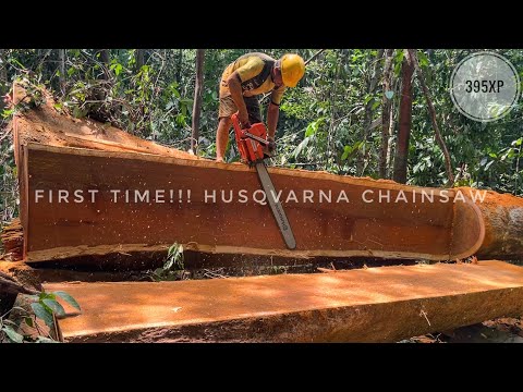 Hard Wood‼️ Pertama kali membuat balok & papan pakai mesin gergaji Husqvarna 395 xp dan Stihl ms 382