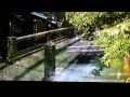 祇園町から 石原裕次郎 Cover