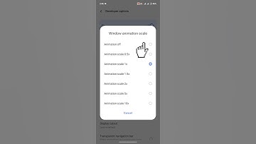 Speed Up Your Phone | Turn Off Animations in Developer Mode