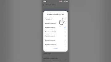 Speed Up Your Phone | Turn Off Animations in Developer Mode