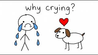 How Dogs Know When You're Crying: The Hidden Science of Canine Empathy