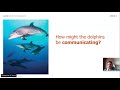 Waves Energy and Communication in Dolphins and Computers