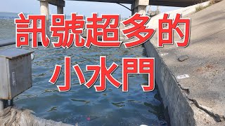 訊號超多的小水門2024/04/21黑吉釣法