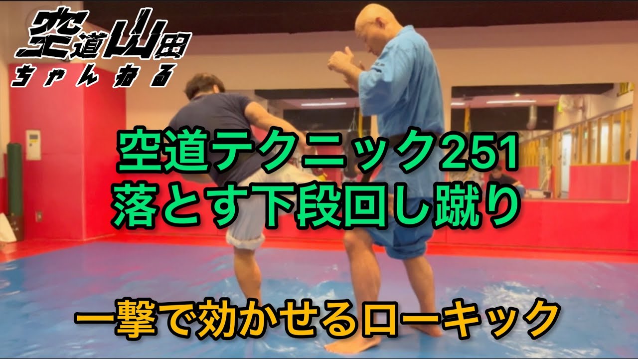 【武道】空道テクニック251「落とす下段回し蹴り」【格闘技】