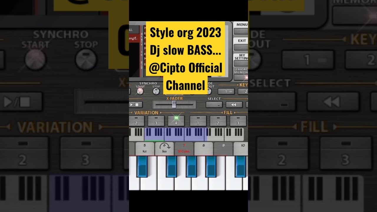 Style org 2023 dj slow bass 