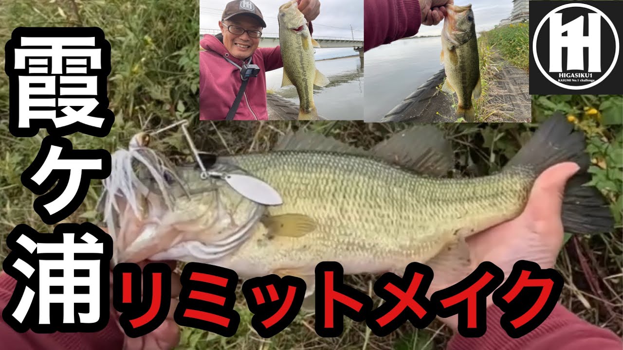 秋の霞ヶ浦で３本！バス釣り今日の霞ヶ浦2025年10月21日