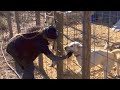 Residents and animal advocates urge Calhoun County to establish shelter