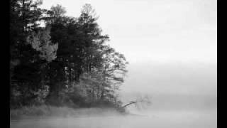 Woods of Desolation - They Will Never Leave Their Tormentor