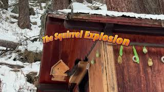 The Squirrel Explosion