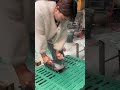 Manual Slatted Floor Molding Mold | Livestock Equipment Handcraft Process