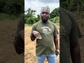 Episode 9: A tour around the farm
