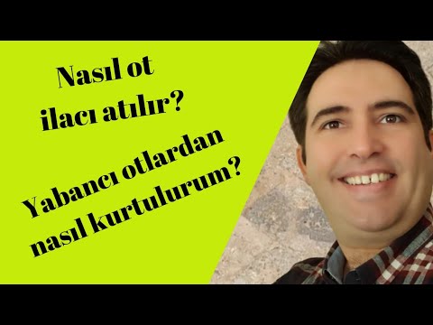 Roundup Star ot kurutucu ot öldürücü ot sarartıcı 1 LT tarım ilacı ...