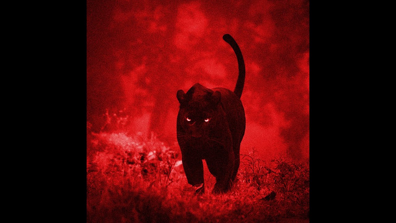 (FREE) JID x Boom Bap Type Beat - 