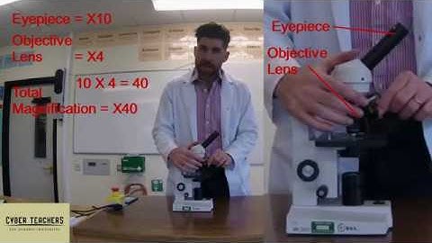 Using a Microscope GCSE AQA required practical 1 by Mr T