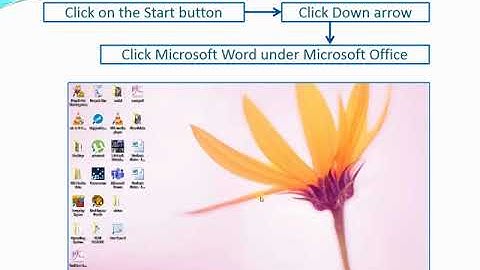 Grade 3   Computer Studies   Introducing MS Word