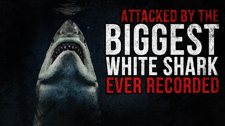 MASSIVE Shark ATTACKS Off San Francisco - The True...