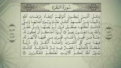 الجزء الثالث من القران الكريم بصوت ميثم التمار