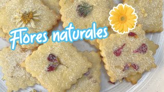 GALLETAS CON FLORES NATURALES | ALE DE NAVA