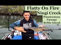 FLATHEAD FISHING fires up in Ningi Creek