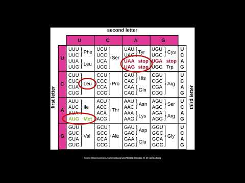 A1.2.10 Conservation of the Genetic Code