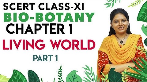 SCERT Class 11 Botany  Chapter 1  The Living World  - Tamil (part 1)