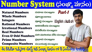 Number System | సంఖ్యా మానము I Natural Numbers/Whole Numbers/Integers/Rational/Irrational Numbers