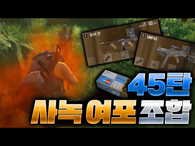 사녹 여포조합으로 45탄?